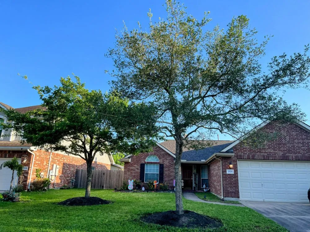 Reliable residential landscaping in Alvin, TX by David's Trees R Us