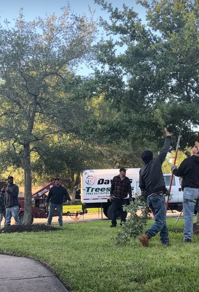 Custom garden landscaping in Alvin, TX by David's Trees R Us