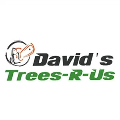 Affordable lawn mowing service in Alvin, TX by David's Trees R Us