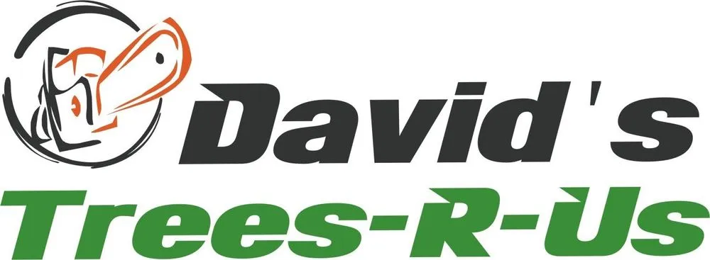 Top-rated garden landscaping in Alvin, TX by David's Trees R Us
