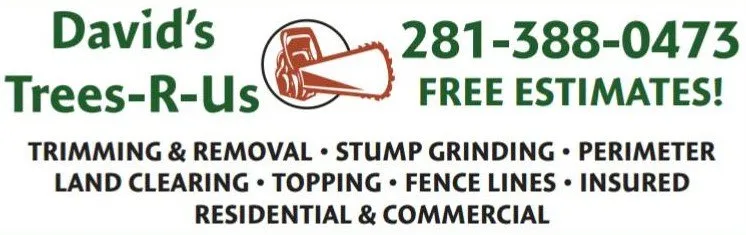 Local yard maintenance in Alvin, TX - David's Trees R Us