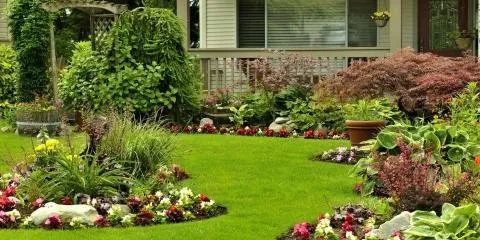 Expert lawn care service experts serving Honolulu, HI - David's Yard Service