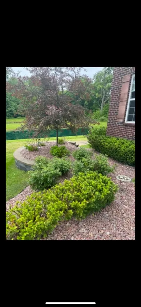 Professional lawn care service near you in Livonia, MI by Davidson Landacaping