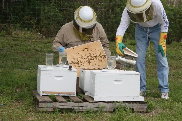 Local garden landscaping for outdoor upgrades across Riverview, FL - Davidson Landscape & Irrigation