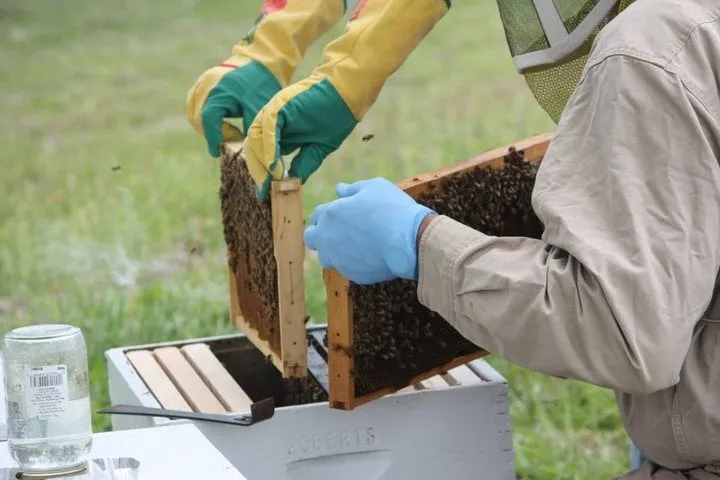 Expert landscaping services in Riverview, FL - Davidson Landscape & Irrigation