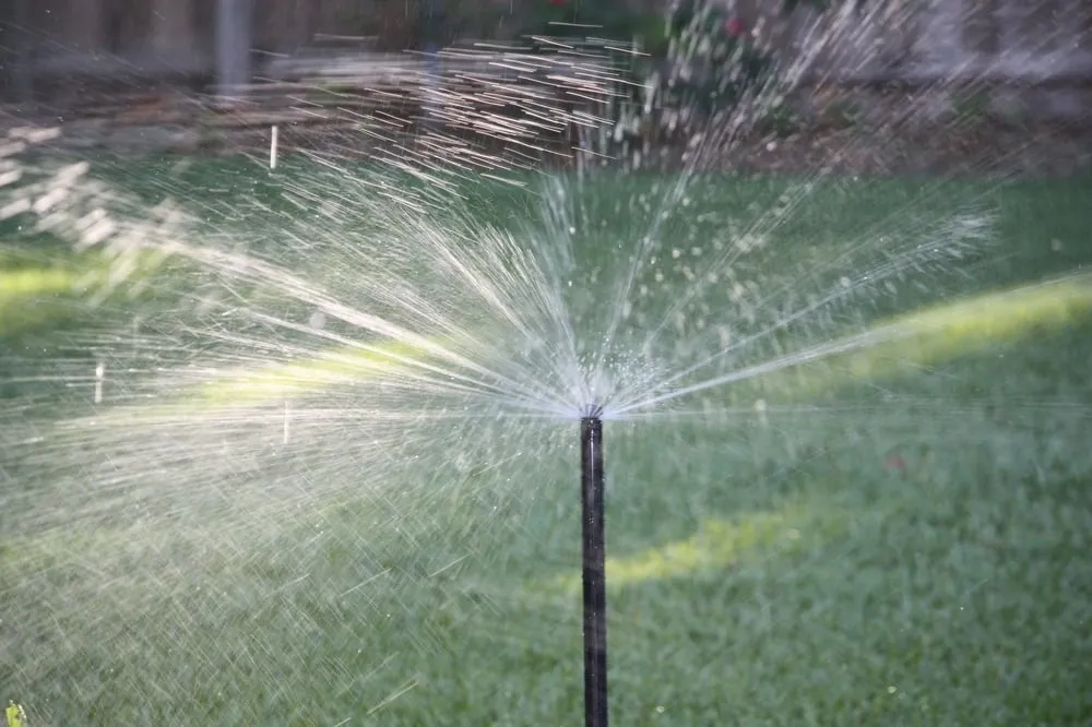 Local landscaping services in Riverview, FL by Davidson Landscape & Irrigation