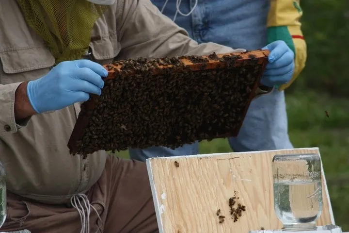 Trusted landscaping services in Riverview, FL by Davidson Landscape & Irrigation