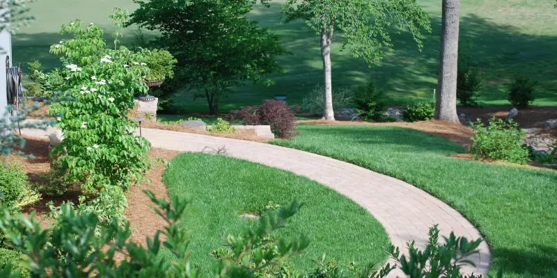 Top-rated lawn care service in High Point, NC by Davidson Landscape Nursery