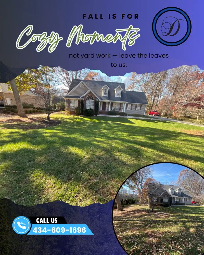 Reliable yard cleanup service in Concord, VA - Davidson Landscaping