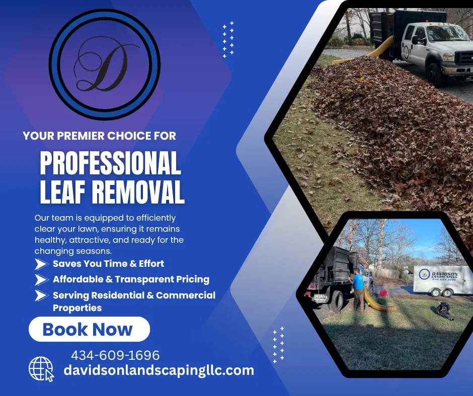 Top-rated yard cleanup service experts serving Concord, VA - Davidson Landscaping