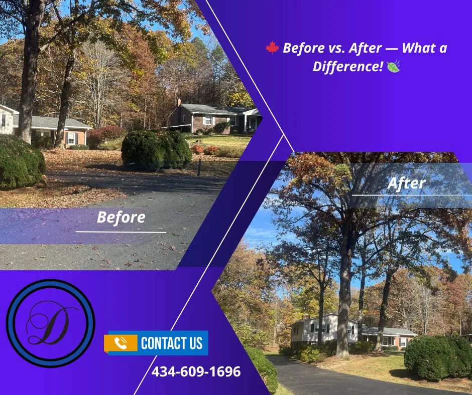 Trusted landscape installation for beautiful yards across Concord, VA - Davidson Landscaping