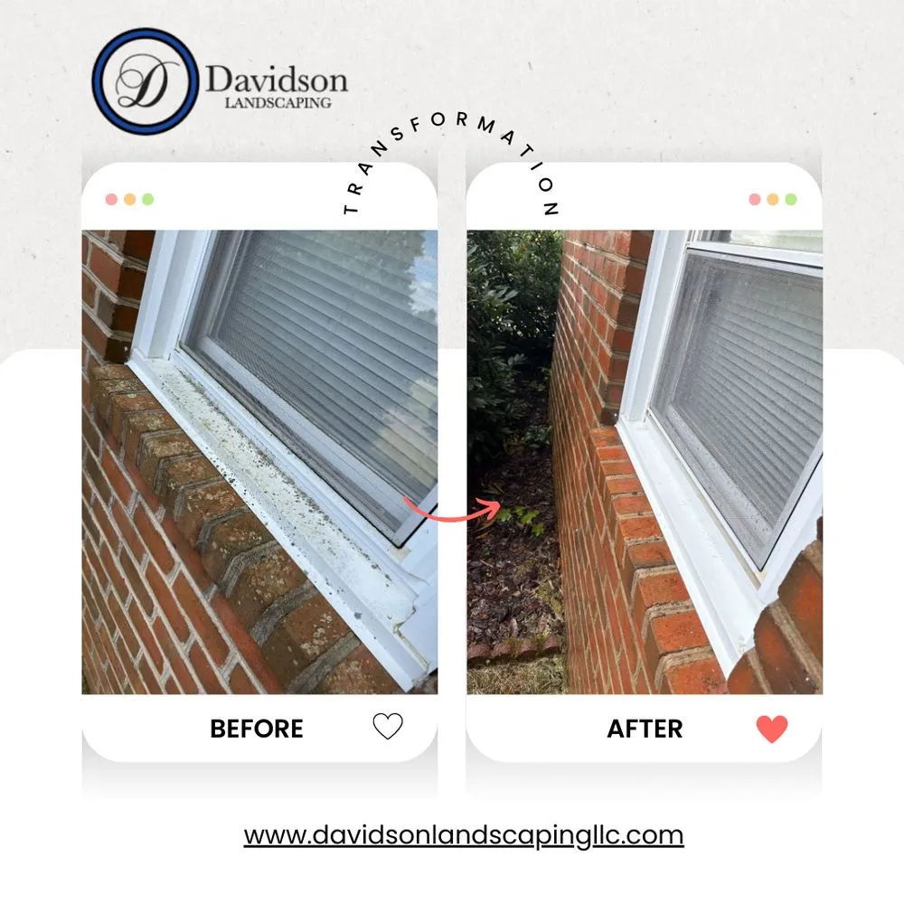 Custom yard cleanup service in Concord, VA - Davidson Landscaping