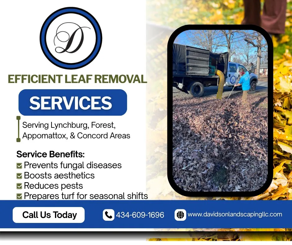 Local outdoor landscaping experts serving Concord, VA - Davidson Landscaping