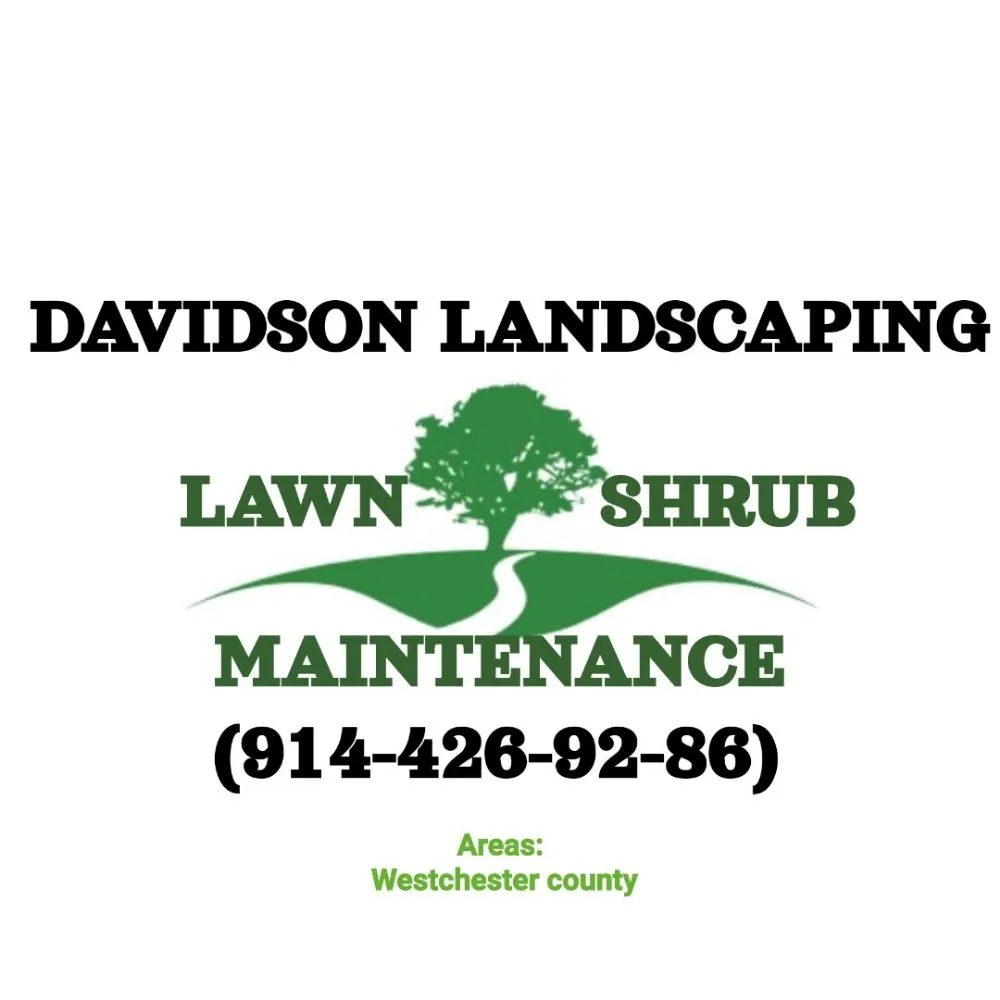 Expert yard cleanup service experts serving Larchmont, NY - Davidson Landscaping