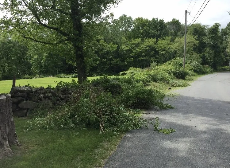 Local lawn care service in Patterson, NY by Davidson Landscaping