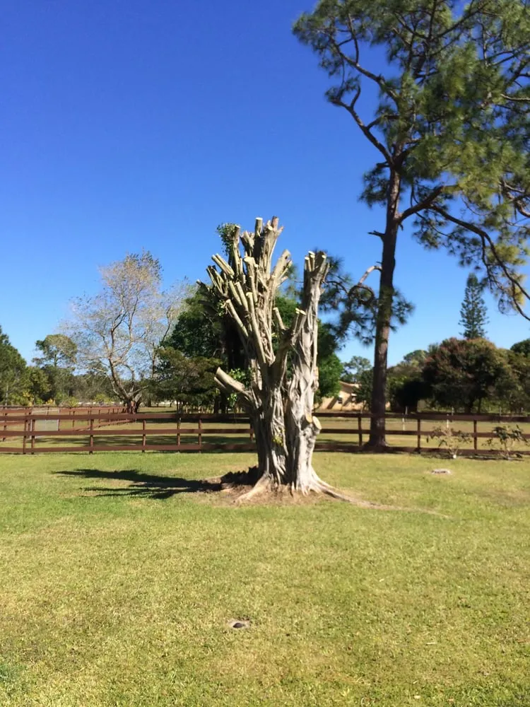 Professional landscape design in Palm City, FL by Davidson Lawn & Landscape