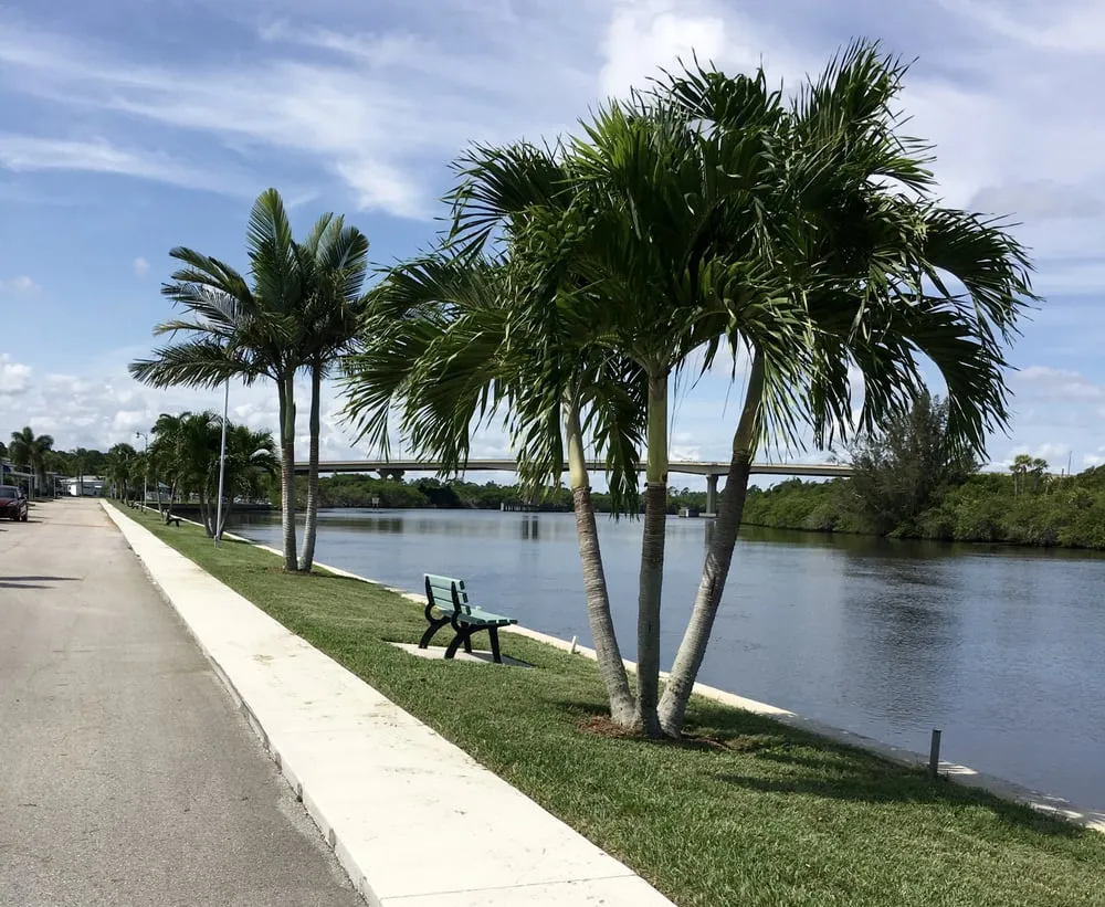 Affordable lawn care service in Palm City, FL by Davidson Lawn & Landscape