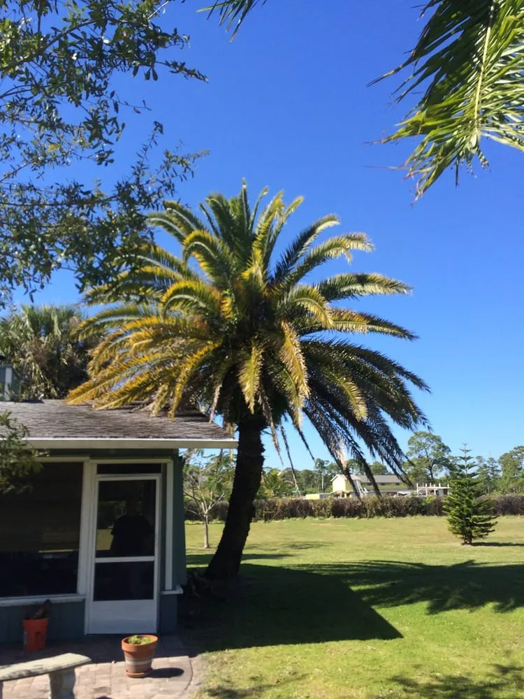 Custom lawn care service in Palm City, FL - Davidson Lawn & Landscape