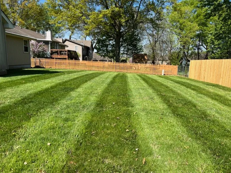Professional lawn mowing service in Olathe, KS - Davidson Lawn Care of Kansas