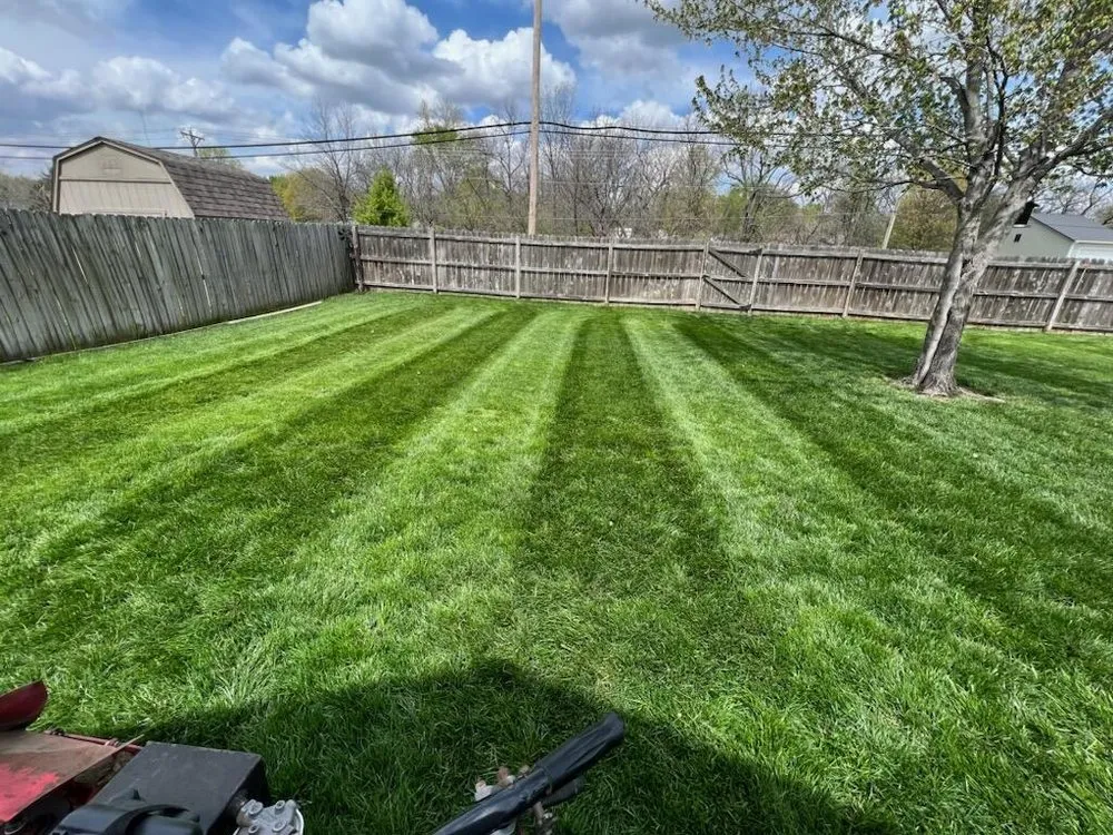 Top-rated yard cleanup service in Olathe, KS - Davidson Lawn Care of Kansas