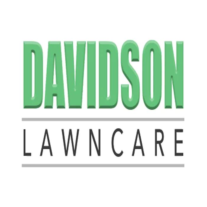 Affordable yard cleanup service with custom design in Blue Springs, MO by Davidson Lawncare