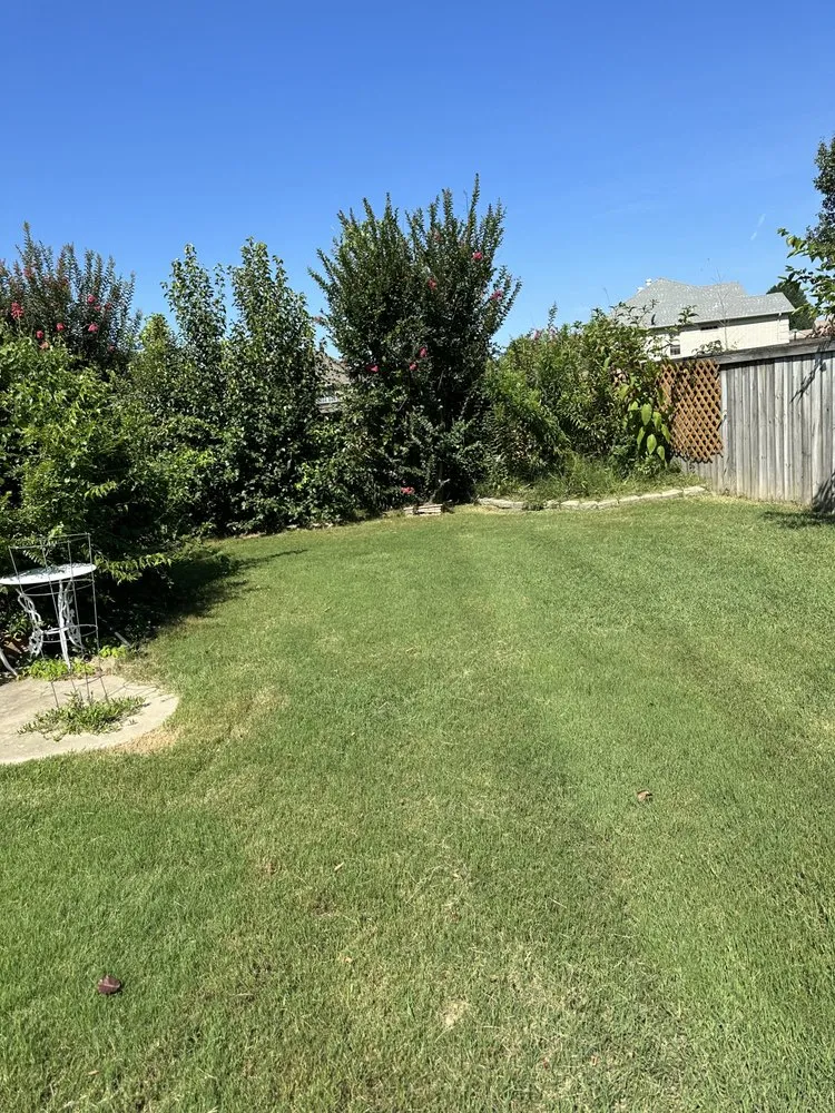 Affordable lawn care service experts serving Cabot, AR - Davidson Property Maintenance