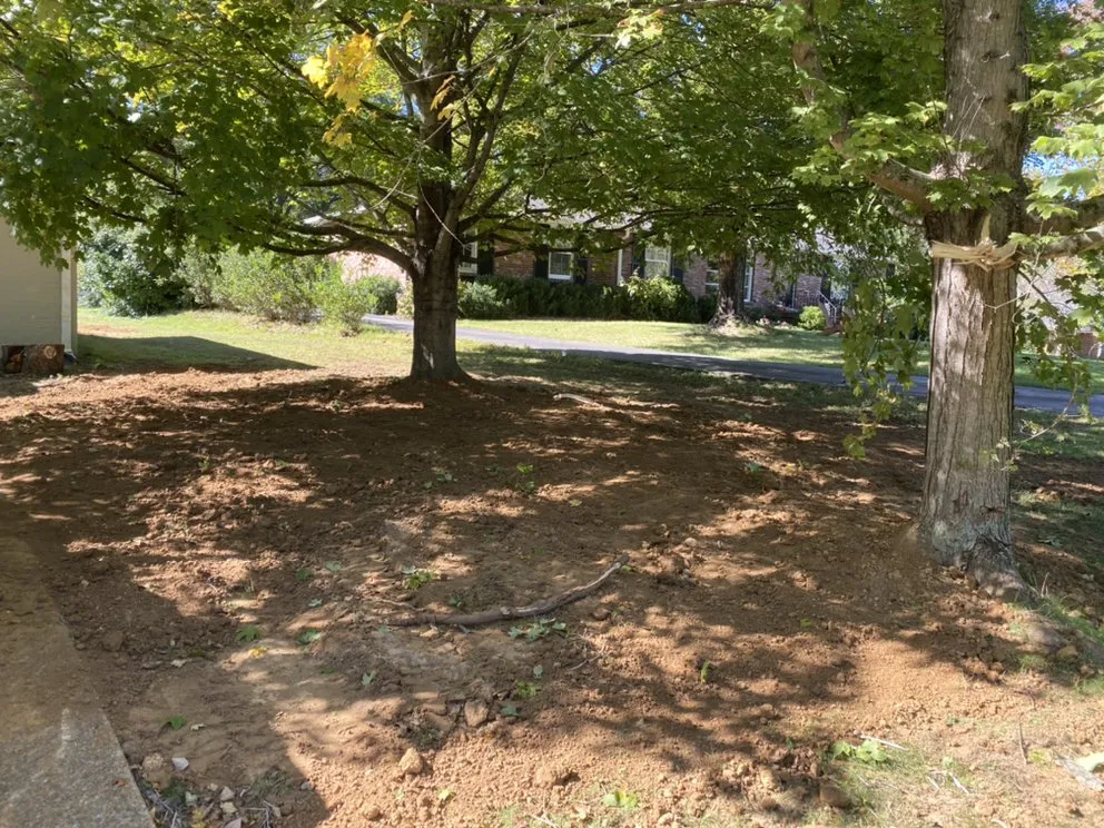 Trusted lawn care service for beautiful yards across Nashville, TN - Davidsons Construction and Lawncare