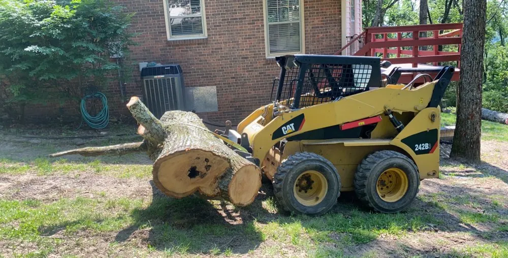 Expert yard cleanup service near you across Nashville, TN - Davidsons Construction and Lawncare