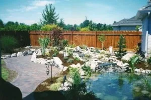 Local lawn care service near you in Salem, OR by Davidson's Landscape Services