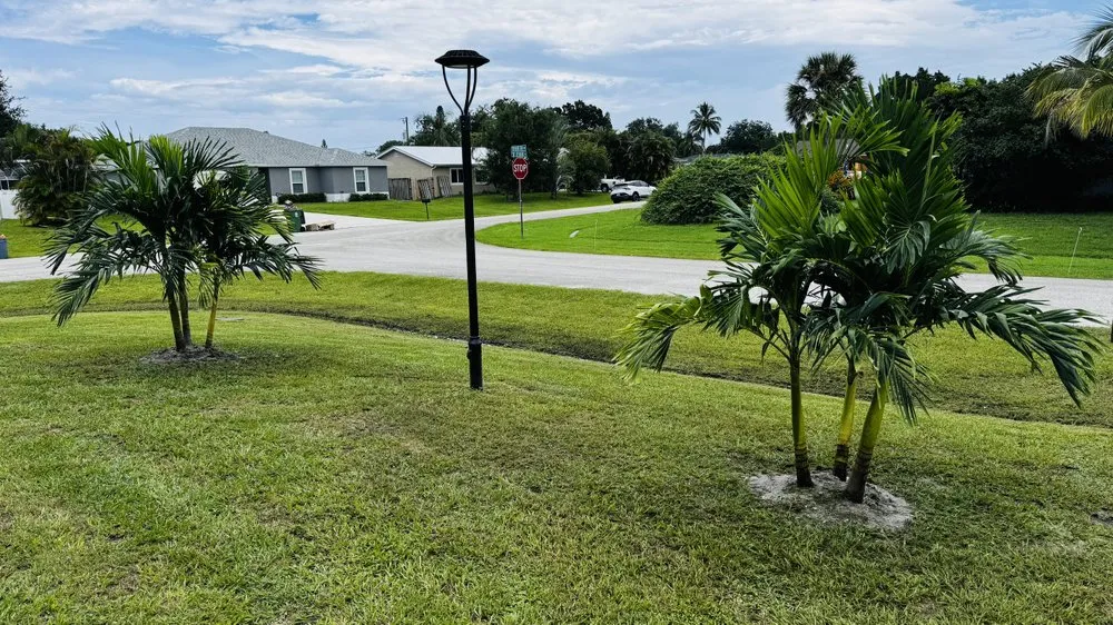 Local outdoor landscaping in Port St. Lucie, FL - Davie Services