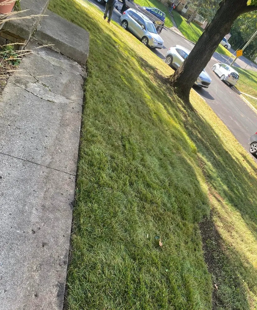 Affordable lawn care service for beautiful yards across Columbus, OH - Davies Landscaping & Lawn Care