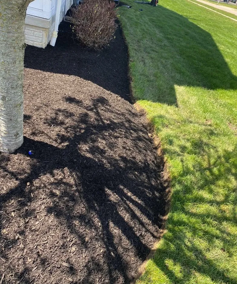 Professional lawn care service for beautiful yards across Columbus, OH - Davies Landscaping & Lawn Care