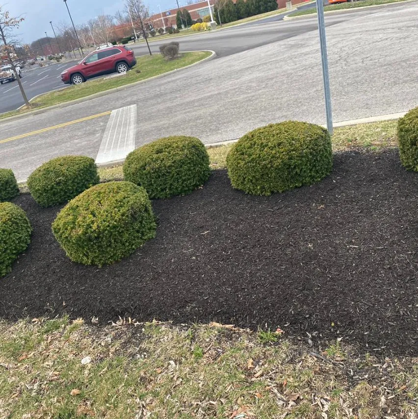 Custom landscaping services in Columbus, OH by Davies Landscaping & Lawn Care