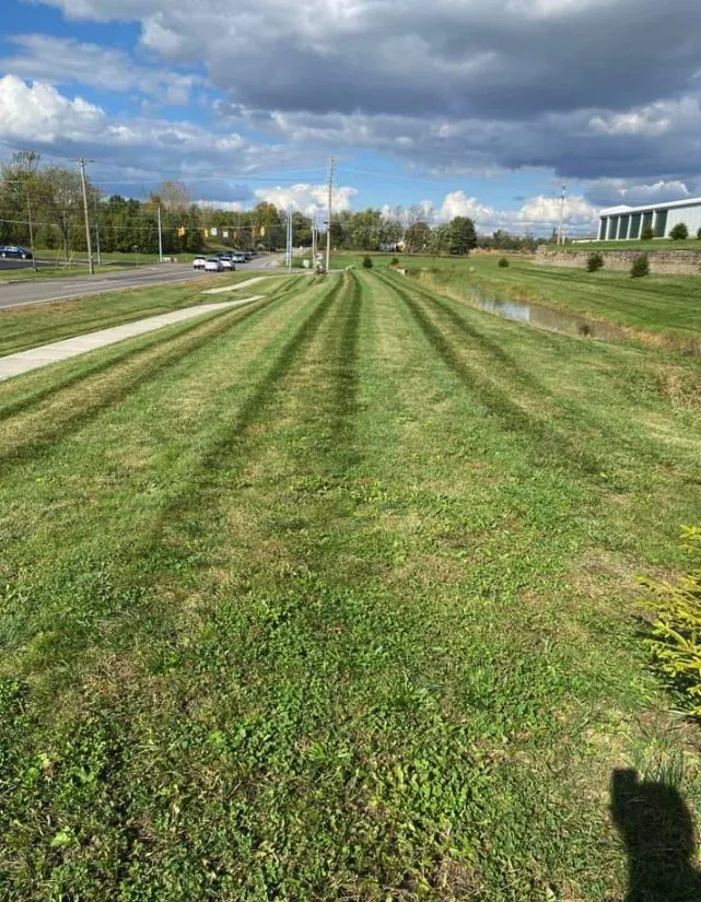 Top-rated outdoor landscaping in Columbus, OH - Davies Landscaping & Lawn Care