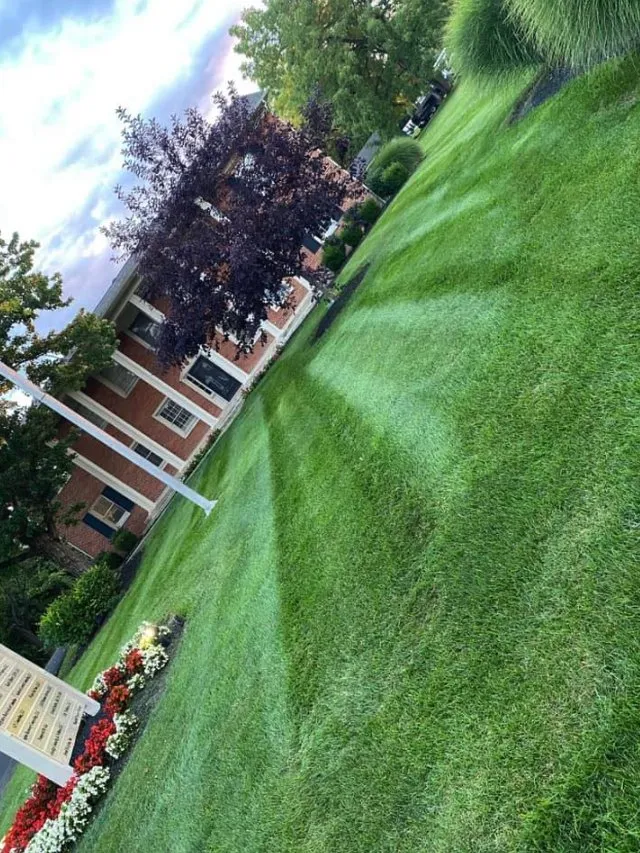 Trusted yard maintenance in Columbus, OH by Davies Landscaping & Lawn Care