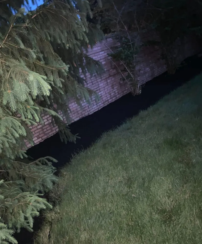 Custom yard cleanup service for residential properties across Columbus, OH - Davies Landscaping & Lawn Care