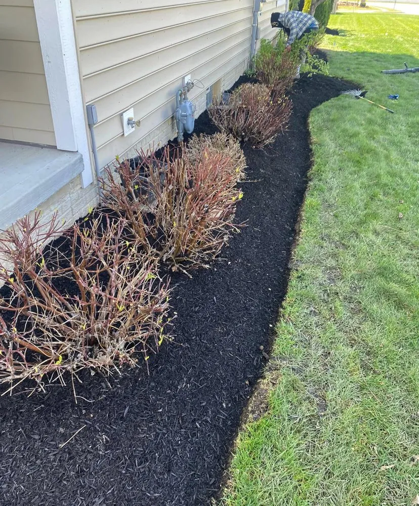 Custom yard cleanup service in Columbus, OH - Davies Landscaping & Lawn Care