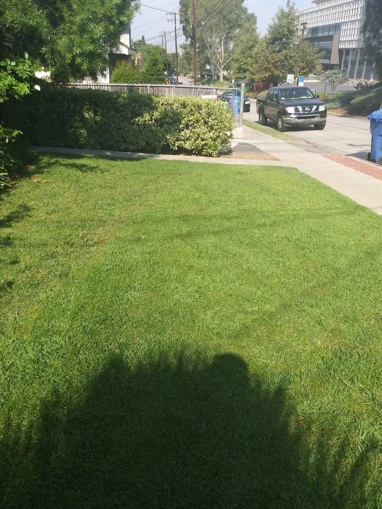 Professional residential landscaping experts serving Bell Gardens, CA - Davila Landscape