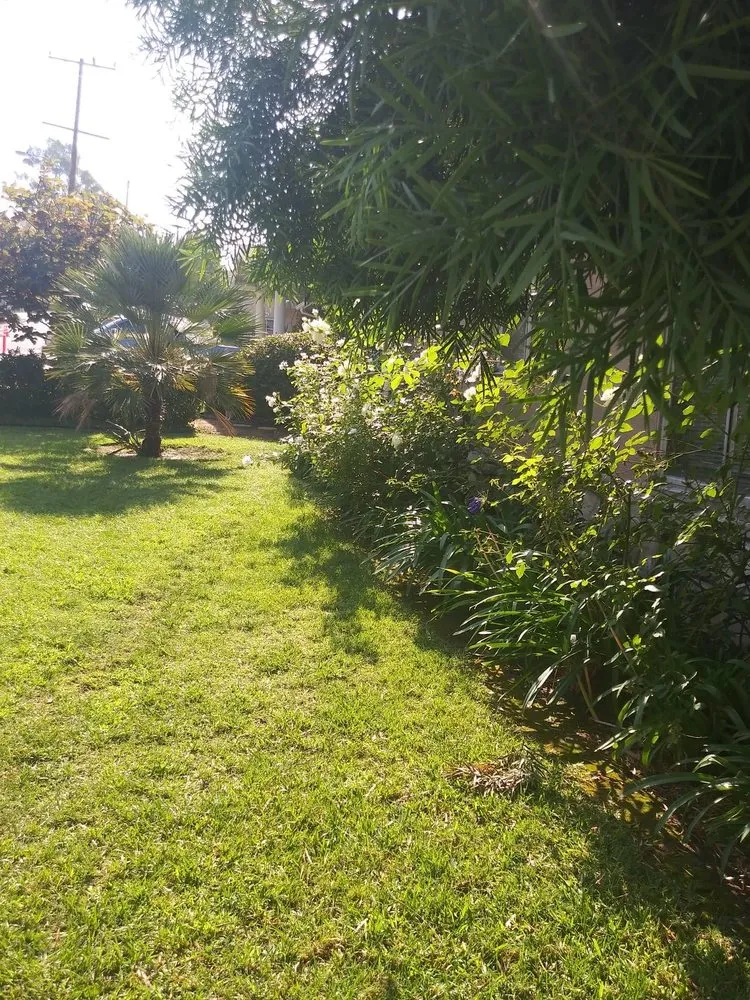 Top-rated lawn care service experts serving Bell Gardens, CA - Davila Landscape