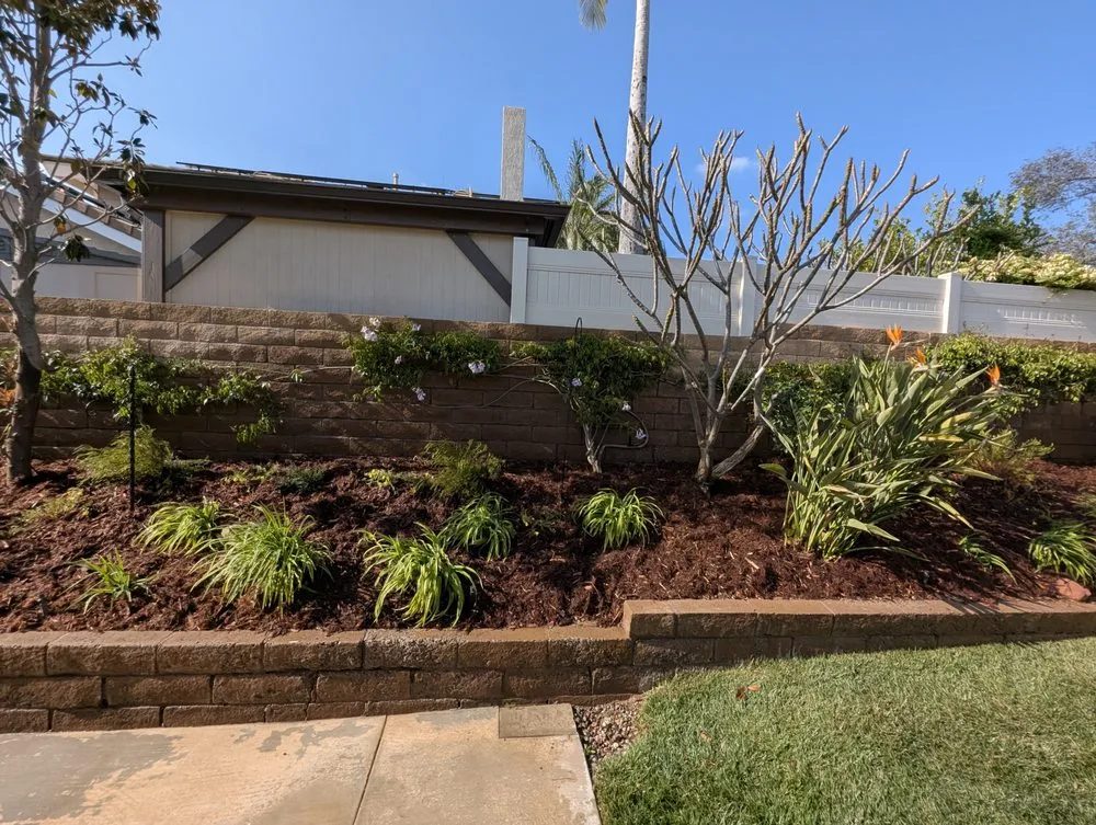 Affordable yard maintenance for year-round maintenance across Santa Ana, CA - Davila Landscape Designs