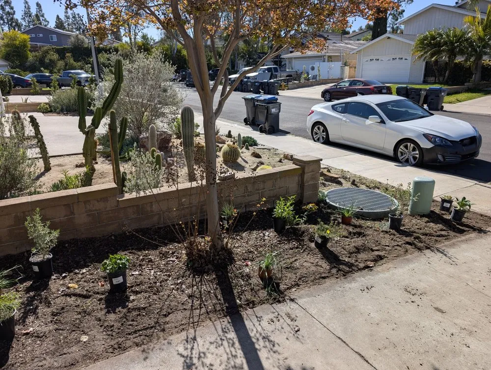 Professional landscape installation with custom design in Santa Ana, CA by Davila Landscape Designs