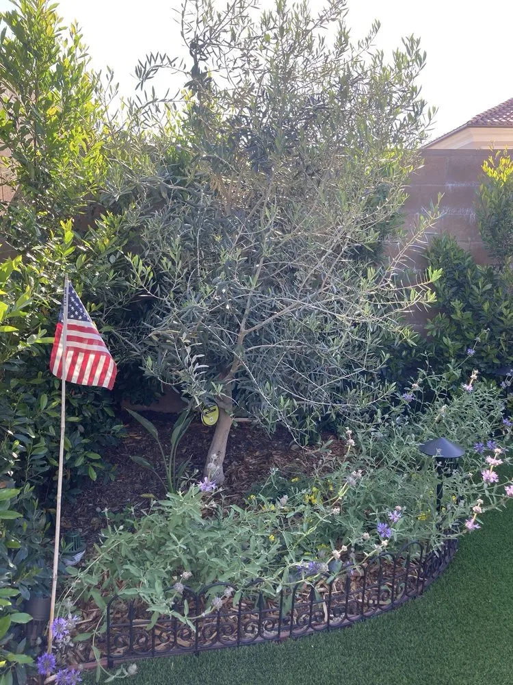 Custom landscape design for residential properties in Santa Ana, CA by Davila Landscape Designs