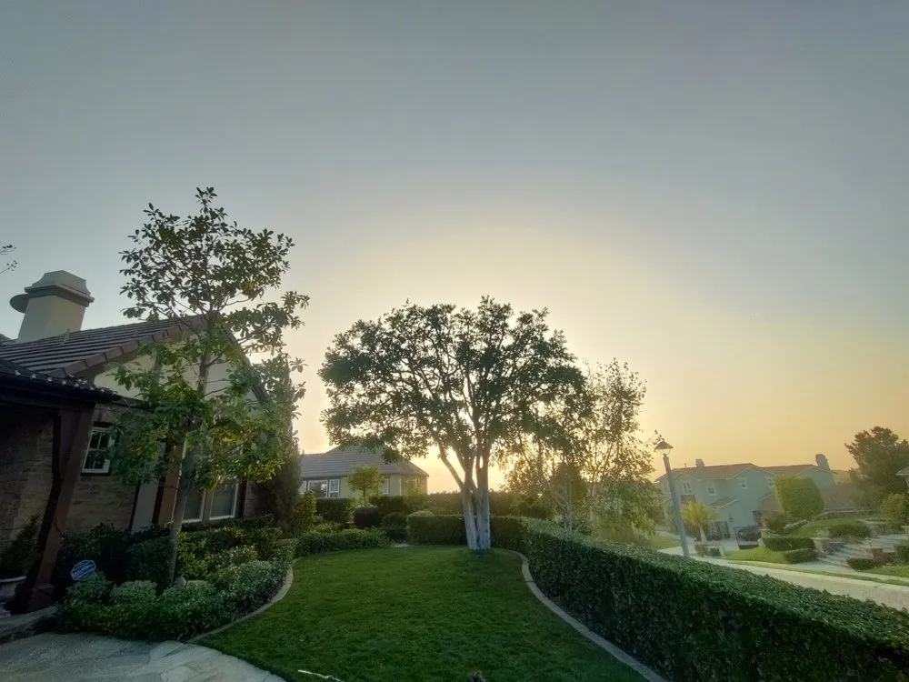 Affordable garden landscaping for year-round maintenance across Santa Ana, CA - Davila Landscape Designs