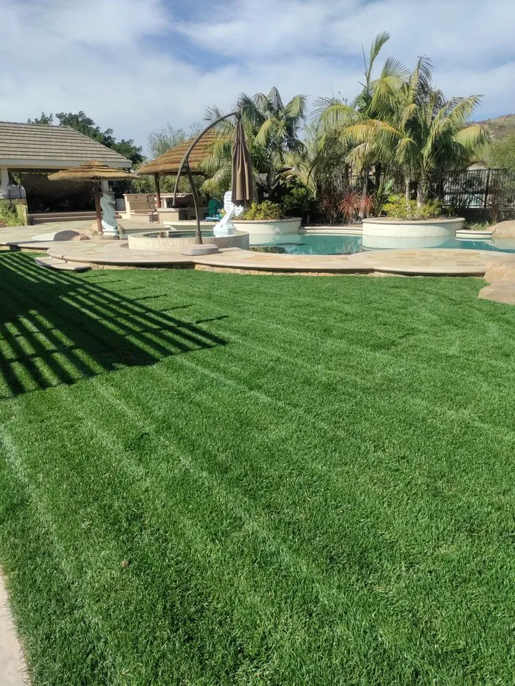Professional landscape installation for year-round maintenance across Santa Ana, CA - Davila Landscape Designs