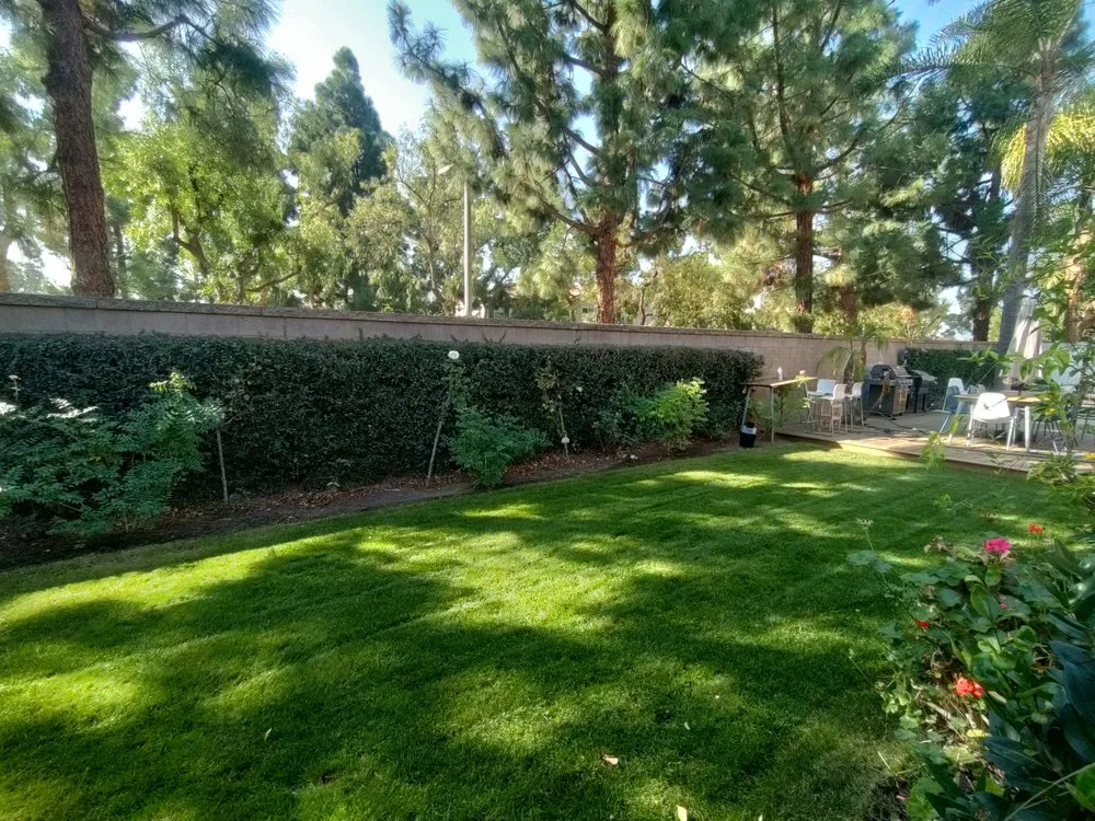 Local lawn care service experts serving Santa Ana, CA - Davila Landscape Designs