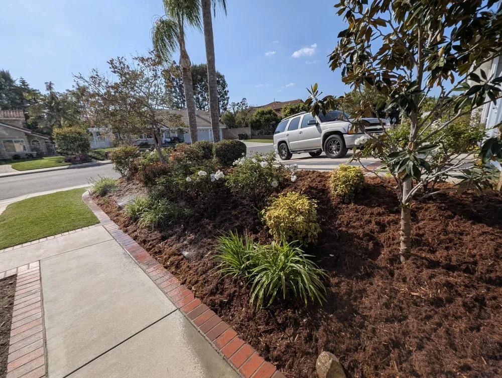 Expert yard cleanup service experts serving Santa Ana, CA - Davila Landscape Designs
