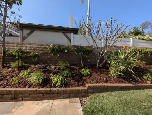 Davila Landscape Designs