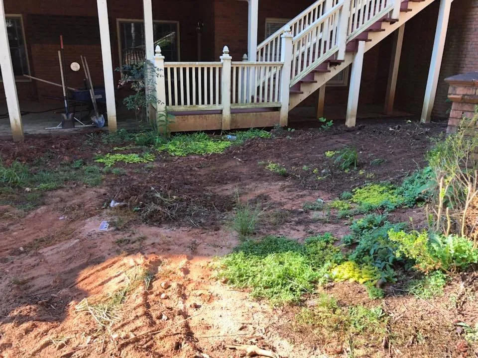 Local yard cleanup service experts serving Lawrenceville, GA - Davila Landscaping