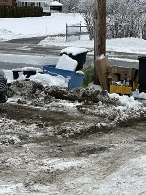 Davila Silvera Solutions Logo