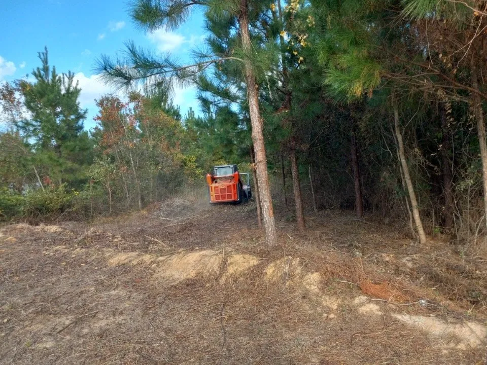 Reliable landscaping services near you across Houston, TX - Davila Tree and Landscaping Services